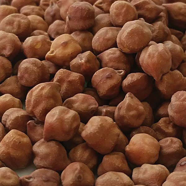 Chana Black