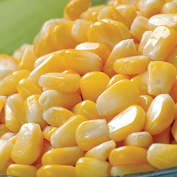 Frozen Sweet Corn