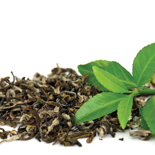 Green Tea