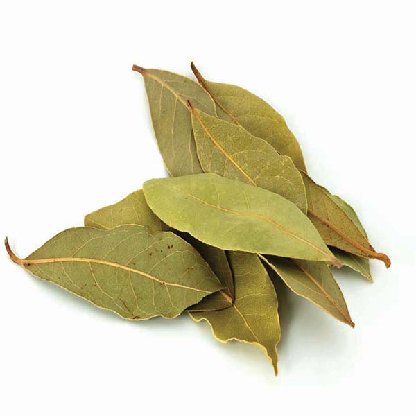 Indian Bay Leaf