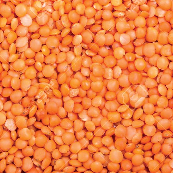 Masoor Dal