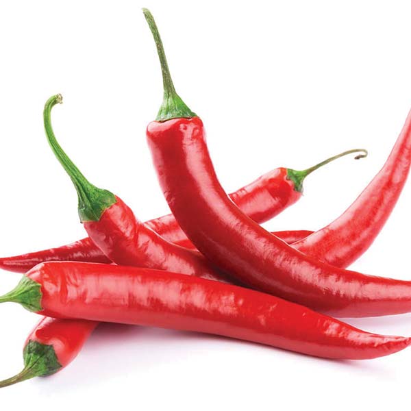 Red Chilli