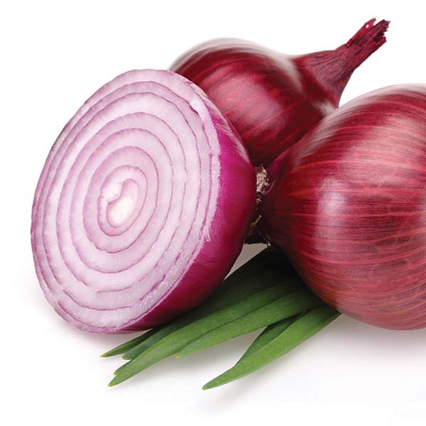 Red Onion