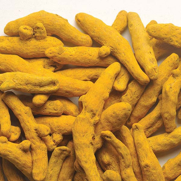 Termaric Fingers