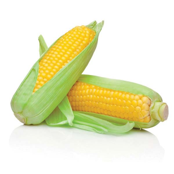 Vacuum Packed Sweet Corn